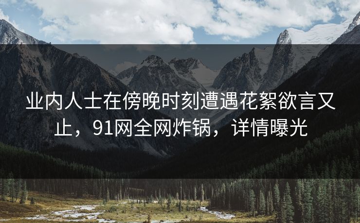 业内人士在傍晚时刻遭遇花絮欲言又止,91网全网炸锅,详情曝光