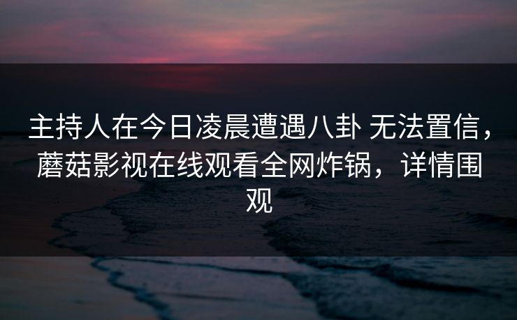 主持人在今日凌晨遭遇八卦 无法置信,蘑菇影视在线观看全网炸锅,详情围观